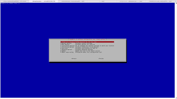 Embedded Software Raspberry Pi - Qt auf dem Raspberry Pi 4 ein Computer-Screenshot eines Bluescreens